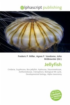 Cover Jellyfish