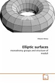 Elliptic surfaces