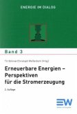 Erneuerbare Energien, Perspektiven für die Stromerzeugung