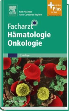 Facharzt Hämatologie Onkologie