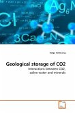 Geological storage of CO2