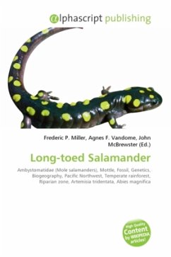 Long-toed Salamander