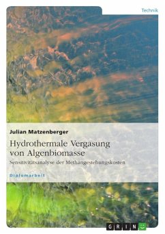 Hydrothermale Vergasung von Algenbiomasse - Matzenberger, Julian