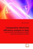 Comparative electricity efficiency analysis in Italy