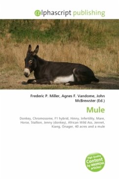 Mule