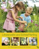 Löwenzahn und Schmetterling