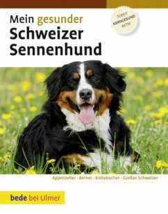 Mein gesunder Schweizer Sennenhund - Kieselbach, Dominik