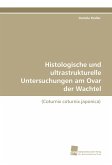 Histologische und ultrastrukturelle Untersuchungen am Ovar der Wachtel