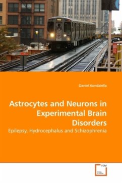 Astrocytes and Neurons in Experimental Brain Disorders - Kondziella, Daniel