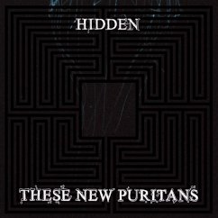 Hidden - These New Puritans