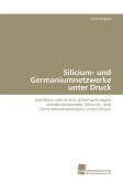 Silicium- und Germaniumnetzwerke unter Druck