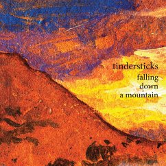 Falling Down A Mountain - Tindersticks