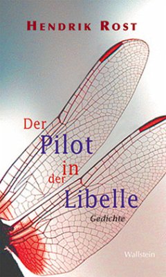 Der Pilot in der Libelle - Rost, Hendrik