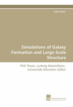 Simulations of Galaxy Formation and Large Scale Structure - Stoehr, Felix