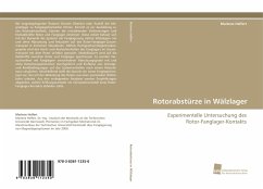 Rotorabstürze in Wälzlager - Helfert, Marlene