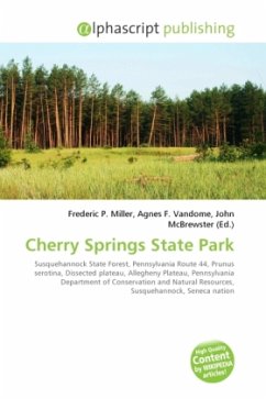 Cherry Springs State Park