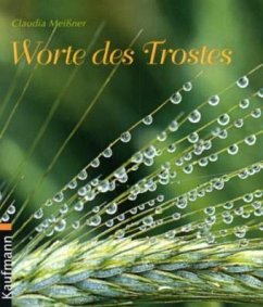 Worte des Trostes - Meißner, Claudia