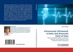 Intravascular Ultrasound: A Static And Kinematic Point of View - Rosales, Misael