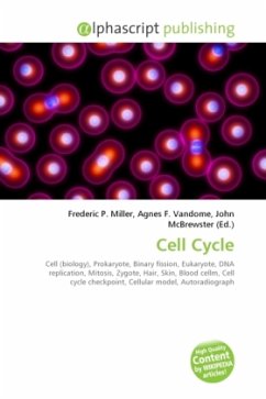 Cell Cycle