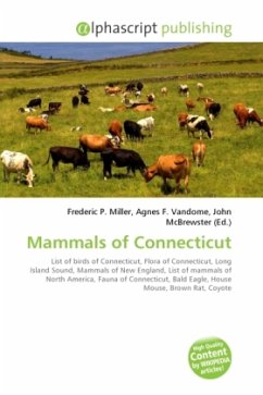 Mammals of Connecticut