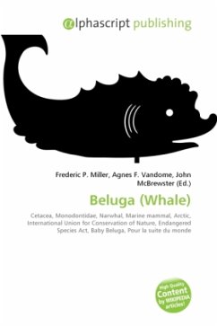 Beluga (Whale)