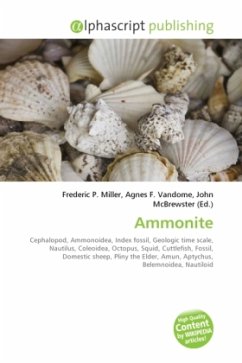 Ammonite