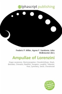 Ampullae of Lorenzini