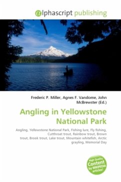 Angling in Yellowstone National Park