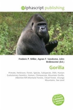 Gorilla