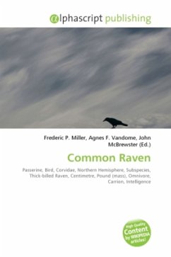 Common Raven