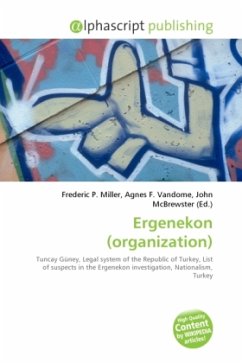 Ergenekon (organization)