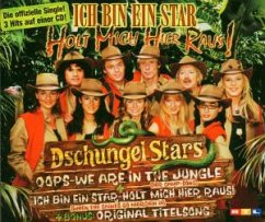 Cover Ich Bin Ein Star-Holt Mich Hie