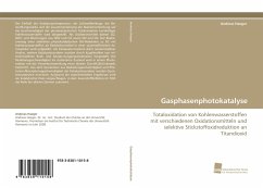 Gasphasenphotokatalyse - Haeger, Andreas