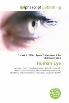 Human Eye