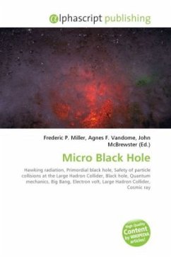 Micro Black Hole