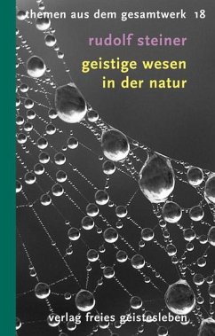 Geistige Wesen in der Natur - Steiner, Rudolf