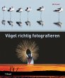 Vögel richtig fotografieren - Bild 1