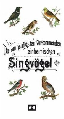 Die am häufigsten vorkommenden heimischen Singvögel - Mherb, Ch L