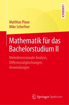 Mathematik für das Bachelorstudium II - Plaue, Matthias;Scherfner, Mike
