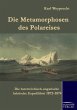 Die Metamorphosen des Polareises - Bild 1