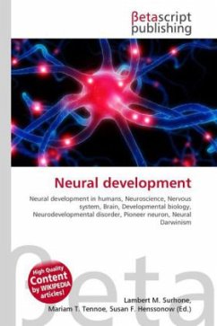 Neural development