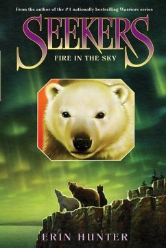 Seekers #5: Fire in the Sky - Hunter, Erin
