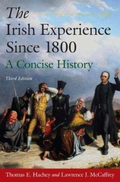 The Irish Experience Since 1800 - Hachey, Thomas E; McCaffrey, Lawrence J