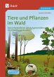 Tiere und Pflanzen im Wald - Bild 1