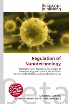 Regulation of Nanotechnology