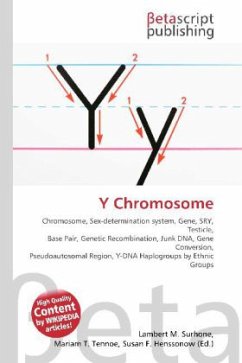 Y Chromosome Y Chromosome