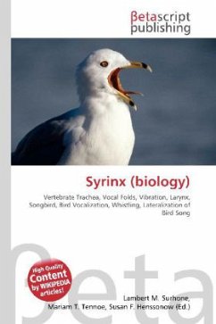 Syrinx (biology)