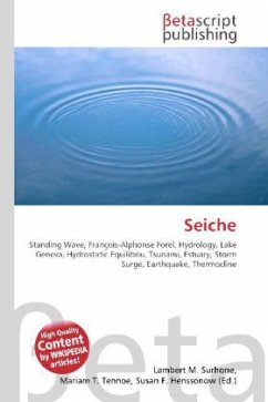 Seiche