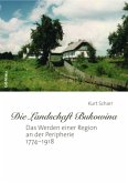 »Die Landschaft Bukowina«; .