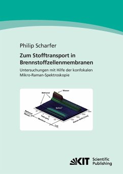Zum Stofftransport in Brennstoffzellenmembranen : Untersuchungen mit Hilfe der konfokalen Mikro-Raman-Spektroskopie - Scharfer, Philip